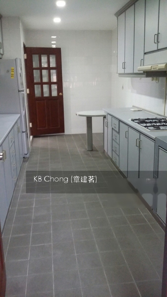 Paya Lebar Crescent (D19), Semi-Detached #138828252